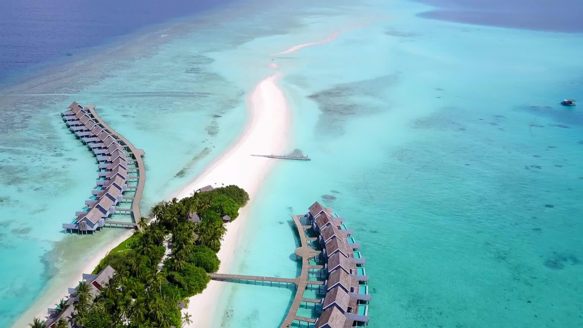 美丽的海滩野生动物蓝海和白沙在空中无人驾驶视频的预览图