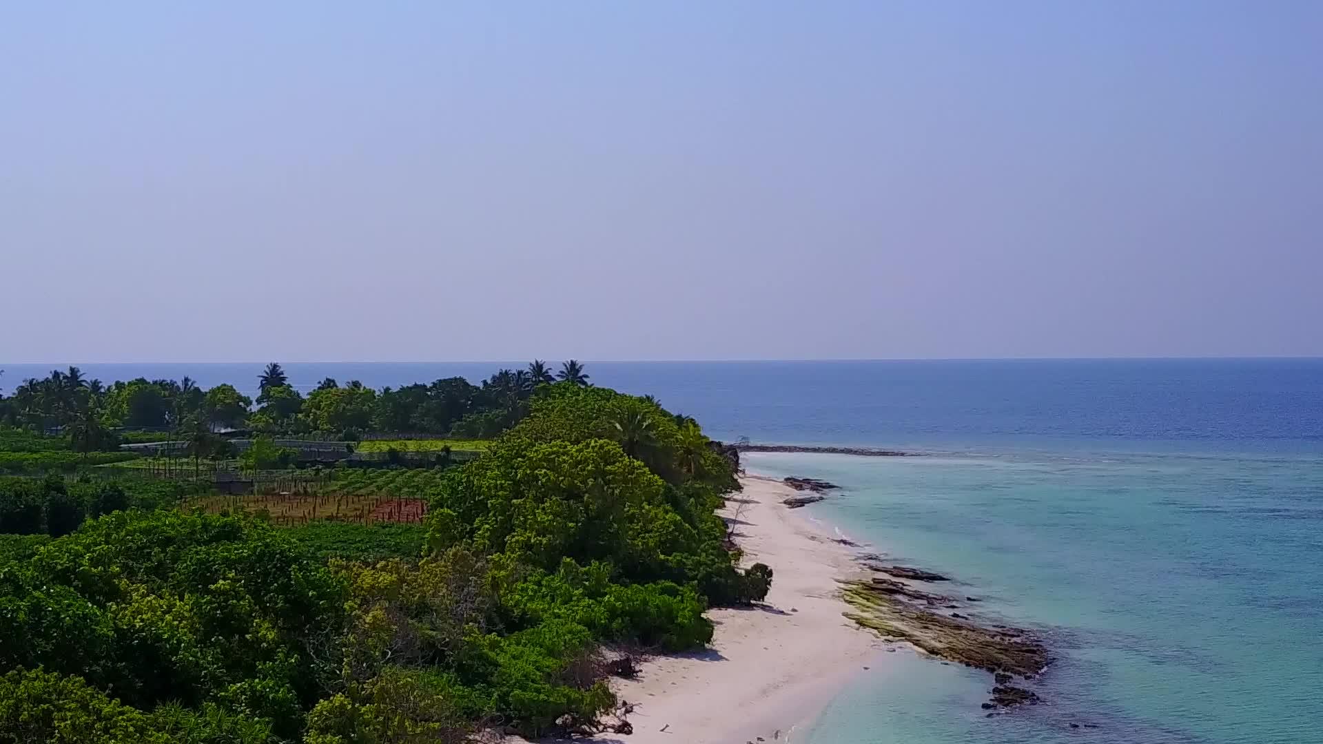 美丽的海岸海滩野生动物无人机在空中视频的预览图