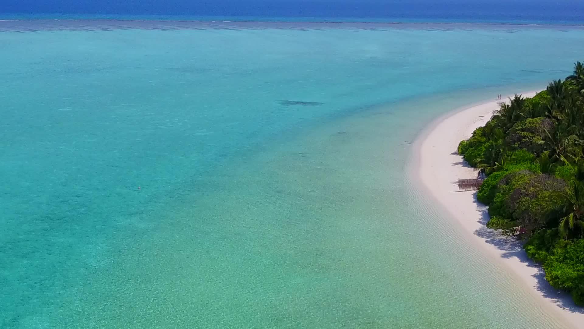 以蓝环礁湖和白沙为背景的奇异海滩野生动物的自然特征视频的预览图