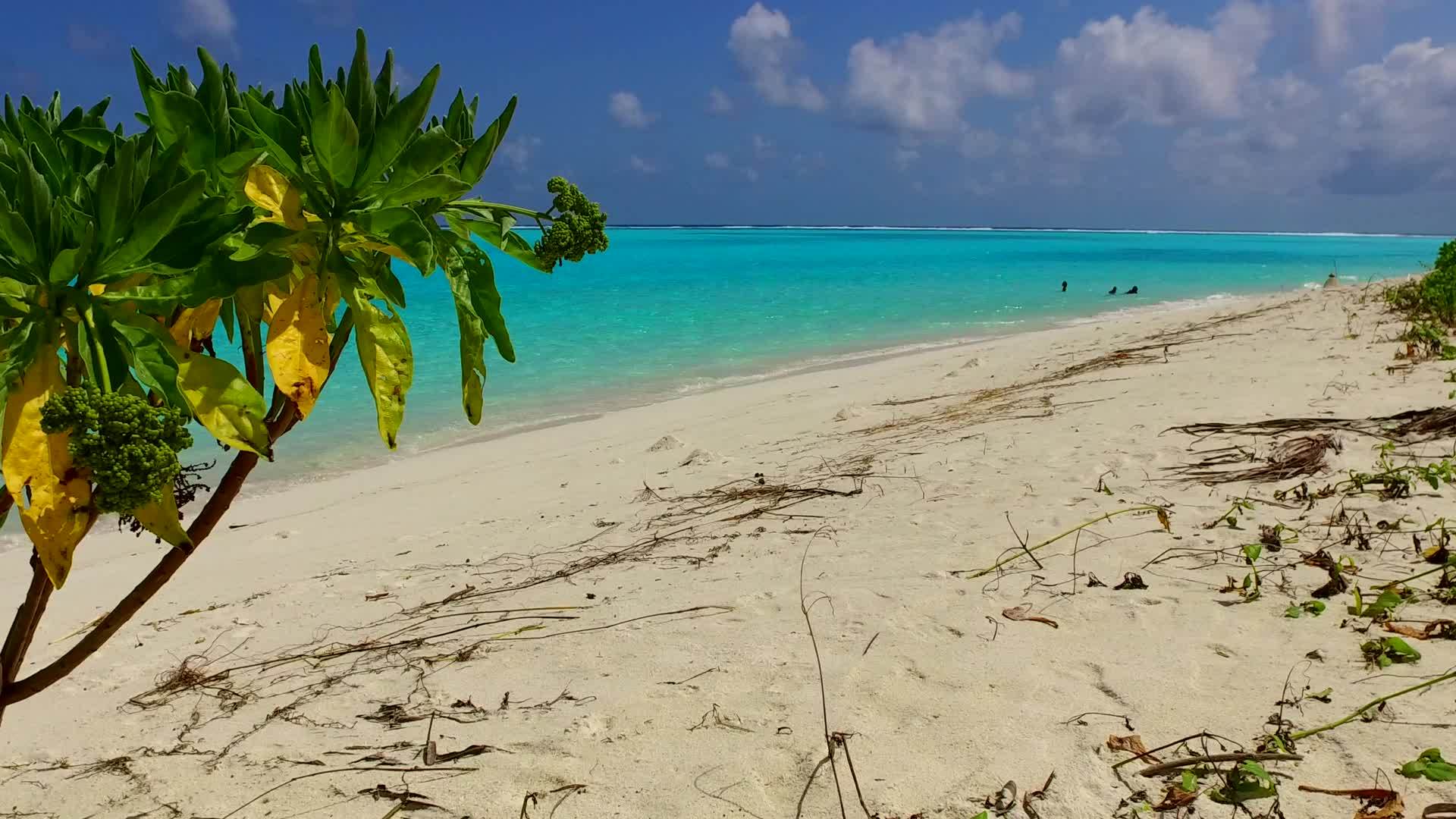 热带岛屿海滩以水蓝色泻湖和白沙为背景航行空中无人机旅游视频的预览图