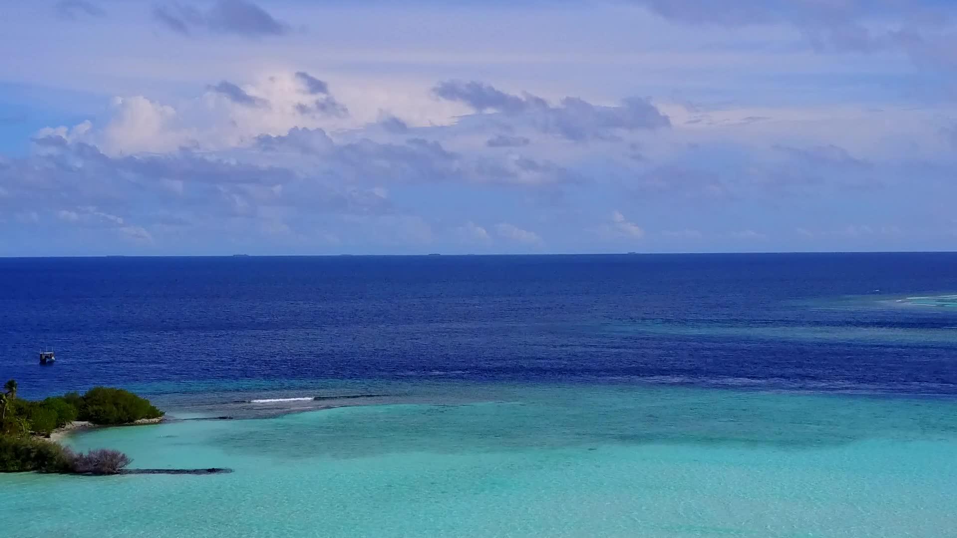 在宁静的海岸海滩上野生生物通过清晰的海洋和白色的海滩背景视频的预览图