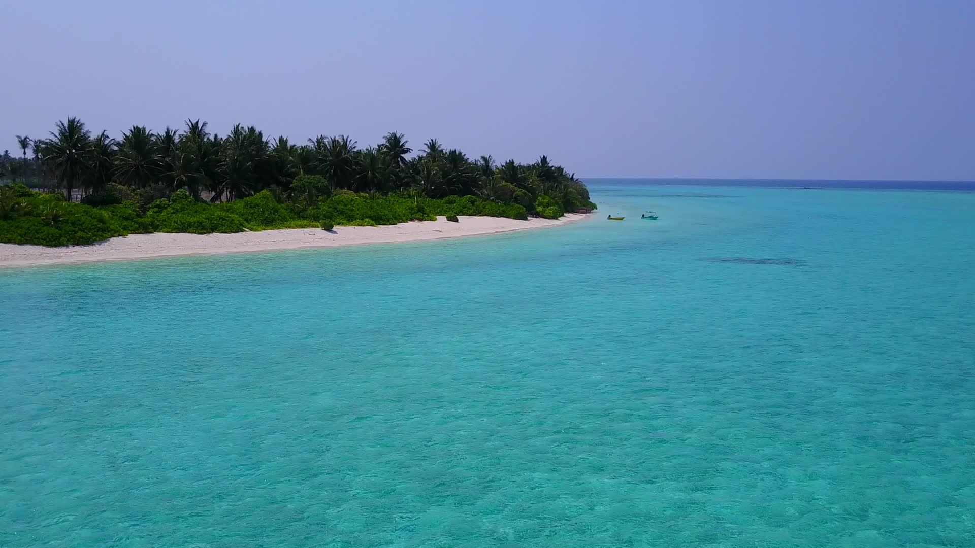 蓝海白沙背景热带海景海滩野生动物空中海景视频的预览图