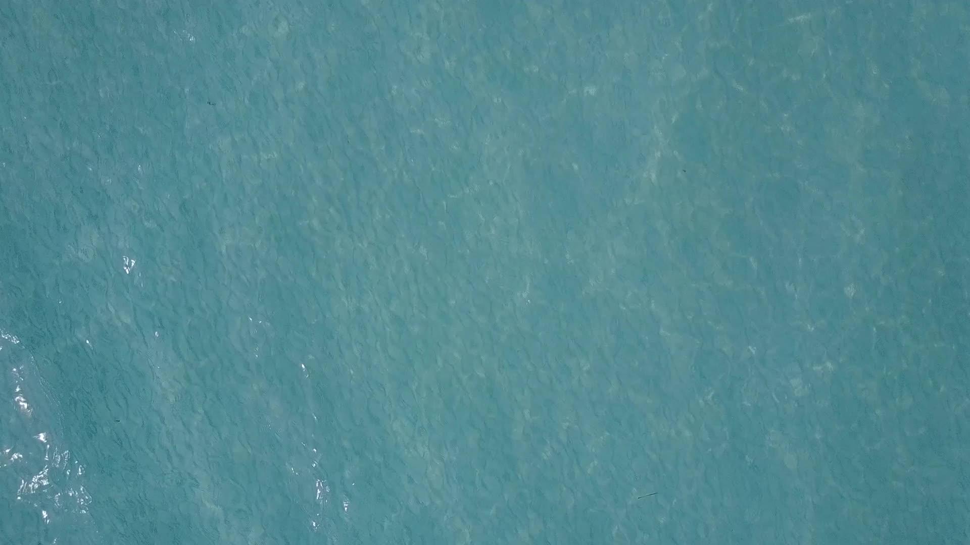 通过浅海、浅沙和浅沙的背景美丽的岛屿海滩野生动物视频的预览图