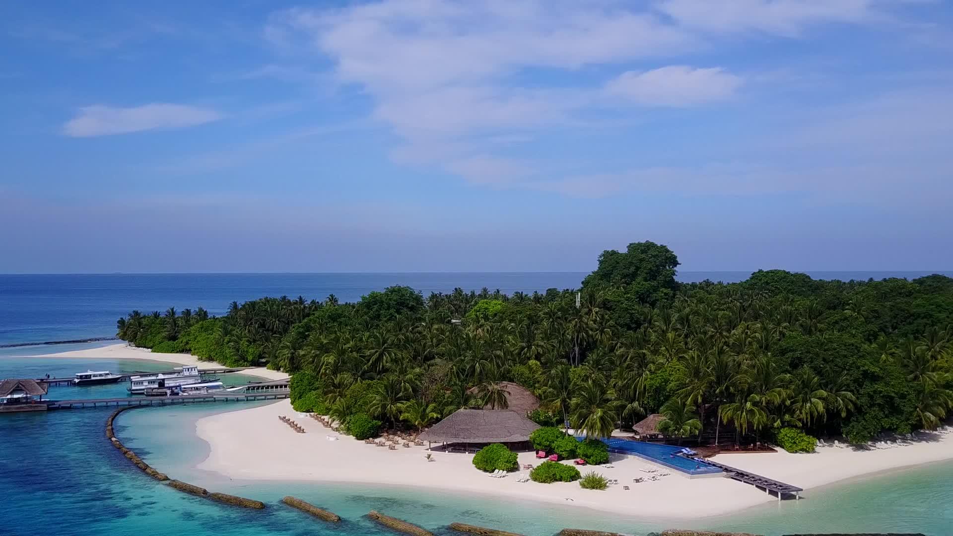蓝海和白沙背景下罕见的环礁湖海滩野生生物景观视频的预览图