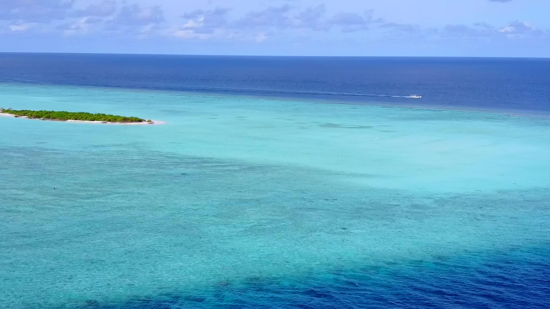 海滩野生生物通过蓝海和清洁沙土背景的蓝海进行完美视频的预览图