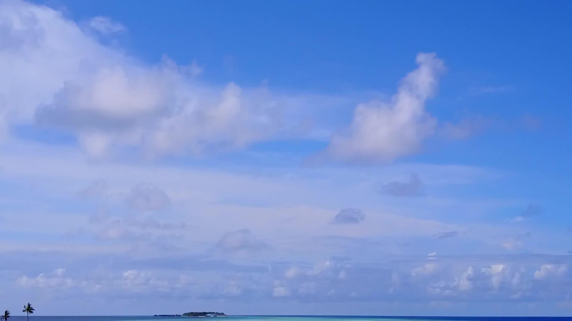 天堂海岸线海滩野生动物空中无人机海景视频的预览图