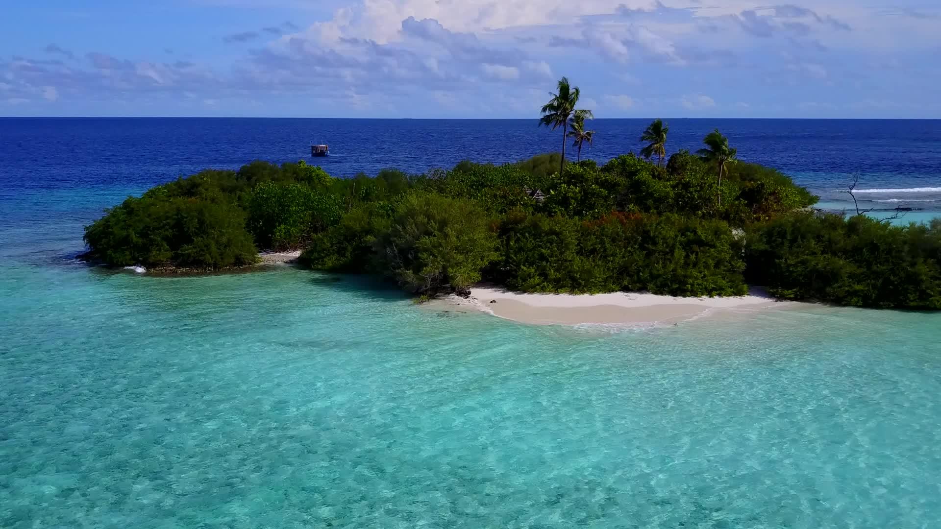 天堂海观海滩环礁湖清澈海滩背景明亮视频的预览图