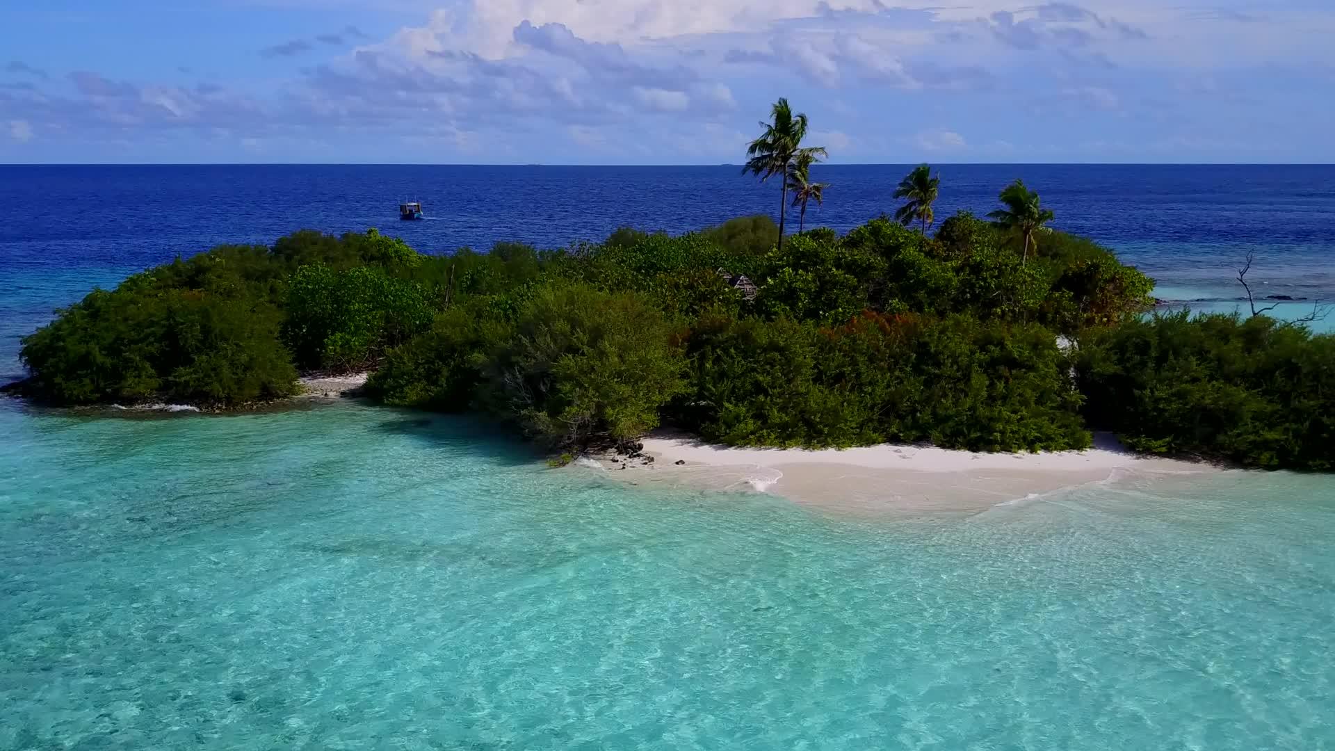 环礁湖的海滩生活方式以蓝环礁湖和白色沙滩为特征视频的预览图