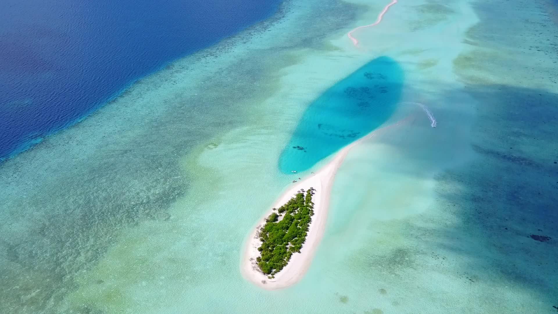 完美的旅游海滩野生动物空中无人驾驶飞机旅行蓝绿色视频的预览图