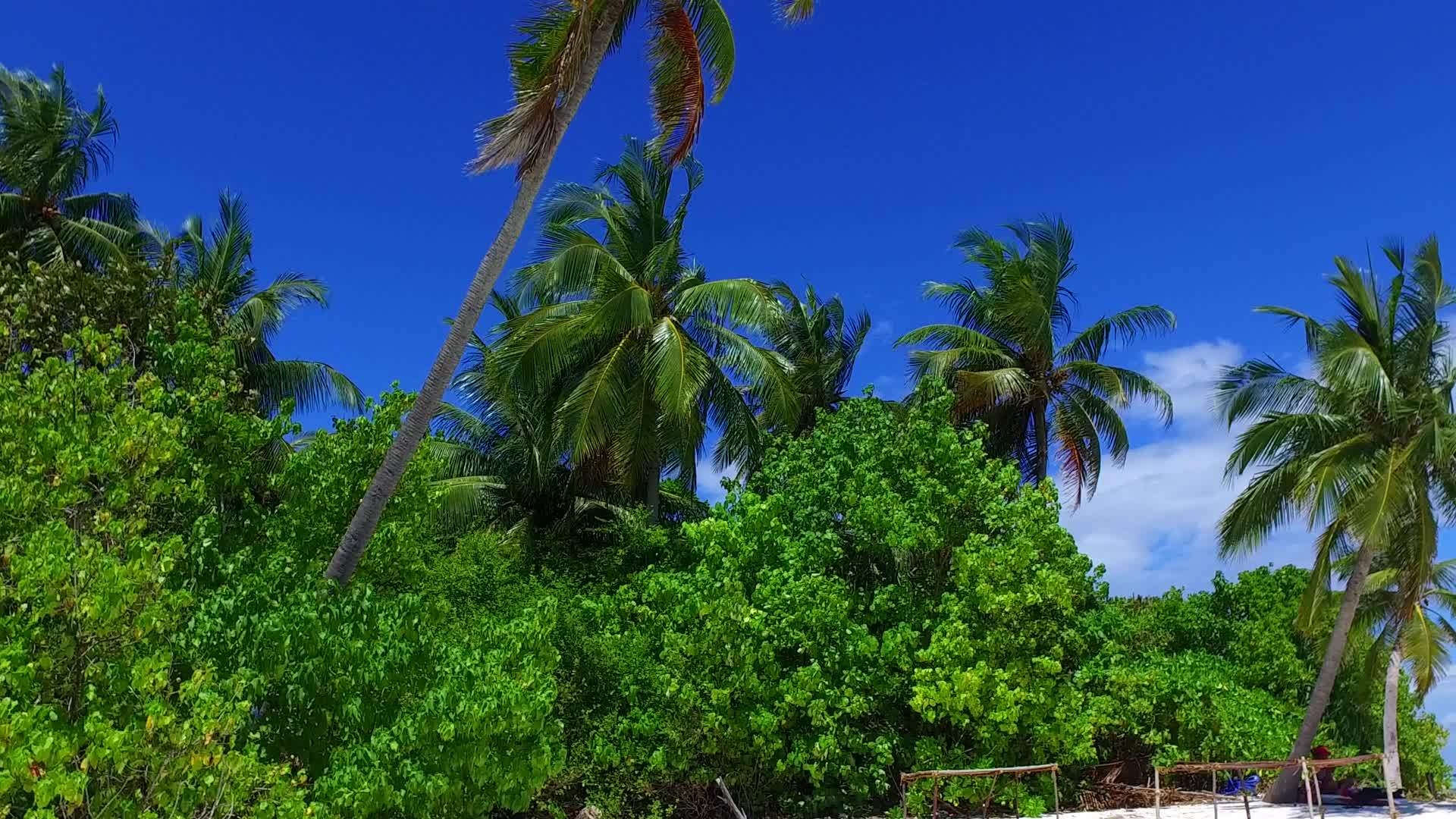 在蓝海和白沙的背景下热带海景海滩度假视频的预览图