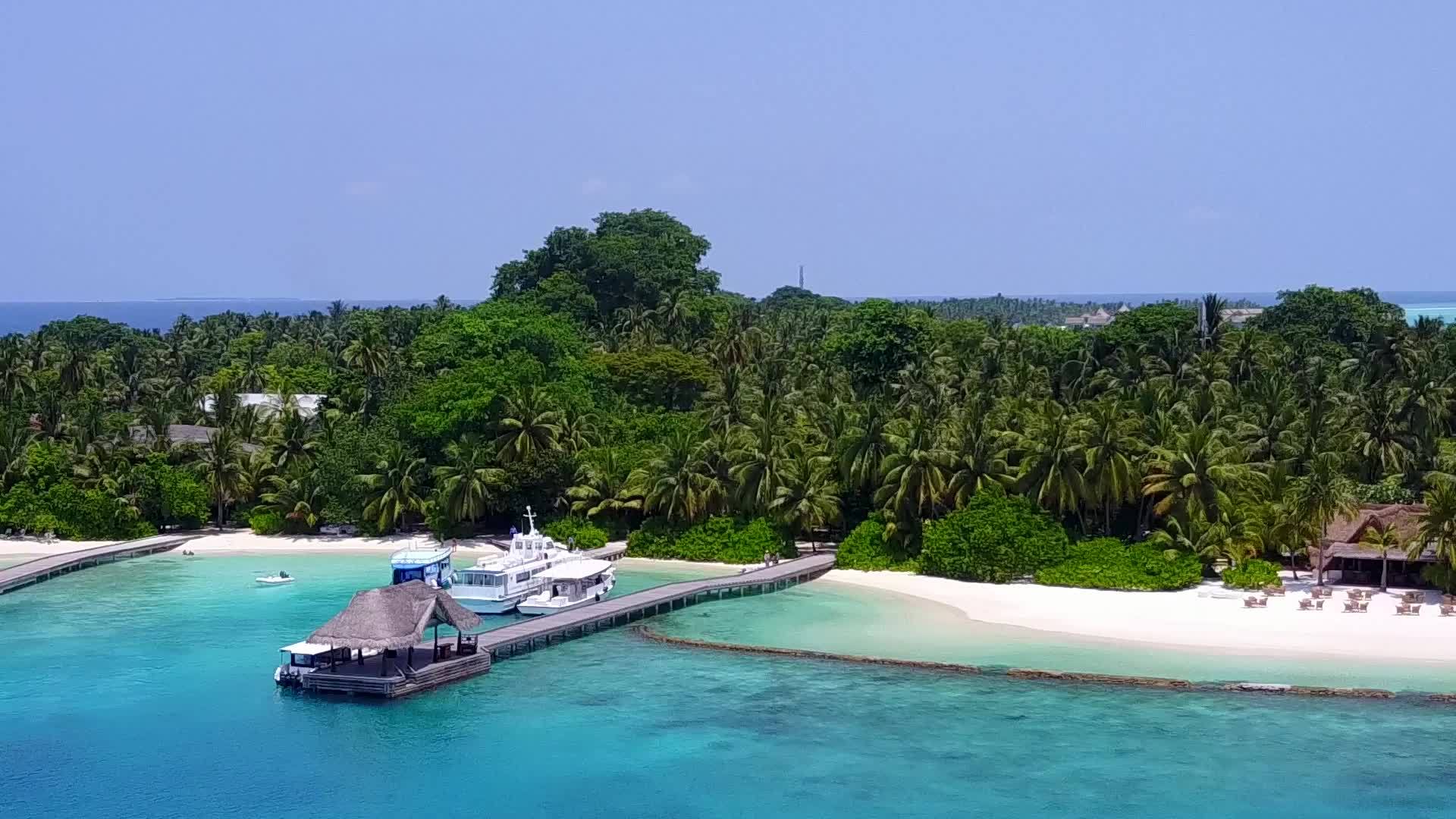 蓝环礁和浅沙背景的热带岛屿海滩野生动物在空中无人驾驶视频的预览图