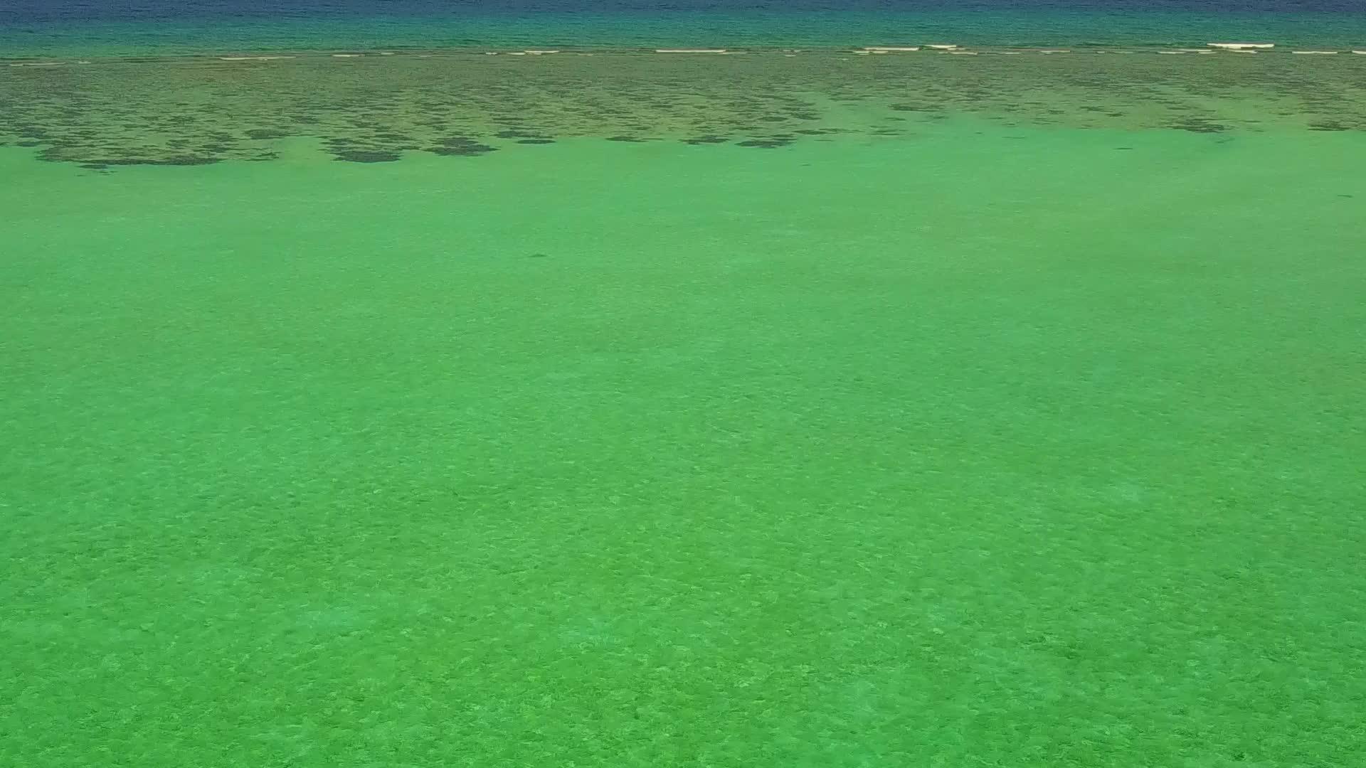 在浅海和白沙的背景下海滩野生动物的无人机视频的预览图