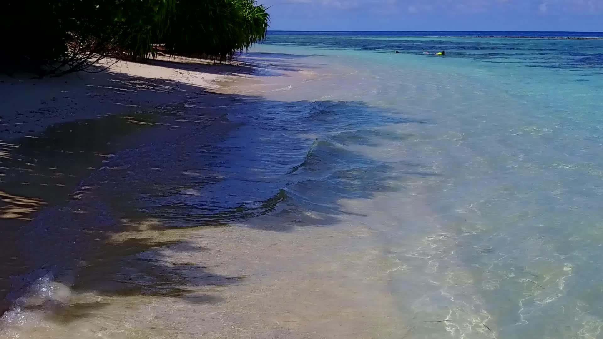 利用蓝水和白沙底蓝水放松海滩野生生物的海景视频的预览图