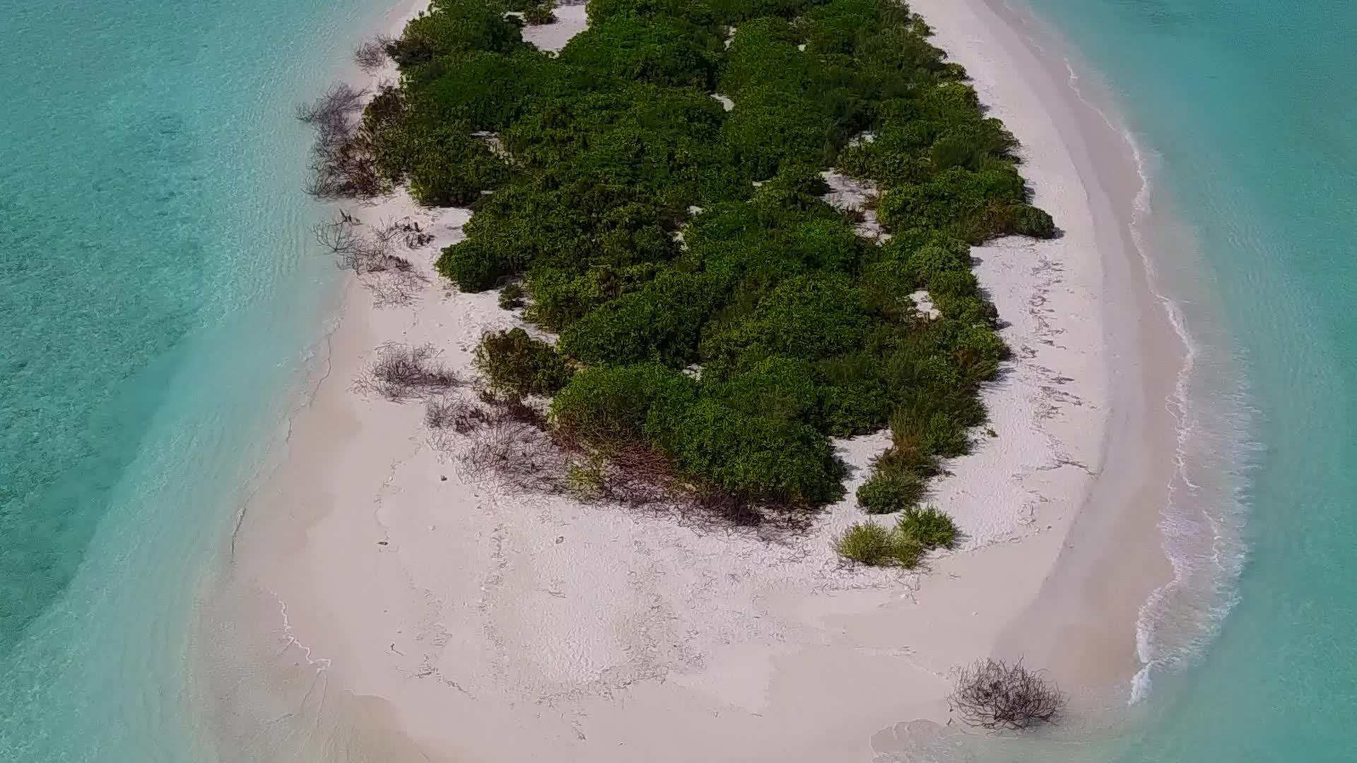 以蓝环礁湖和白沙为背景的热带环礁湖海滩视频的预览图