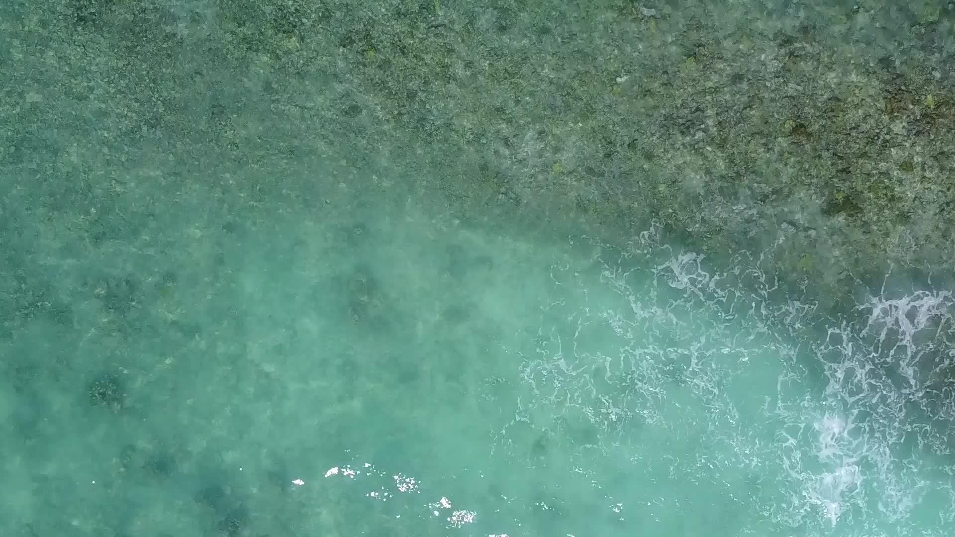 蓝绿色海洋和白沙背景的外国旅游海滩野生生物在空中无人驾驶视频的预览图