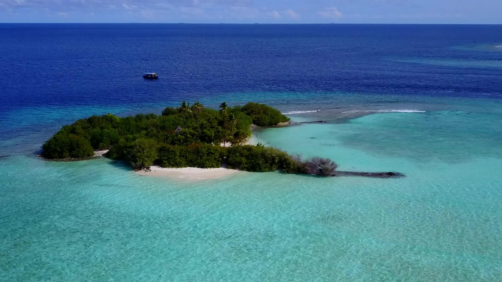 白沙背景蓝水热带海滩之旅视频的预览图