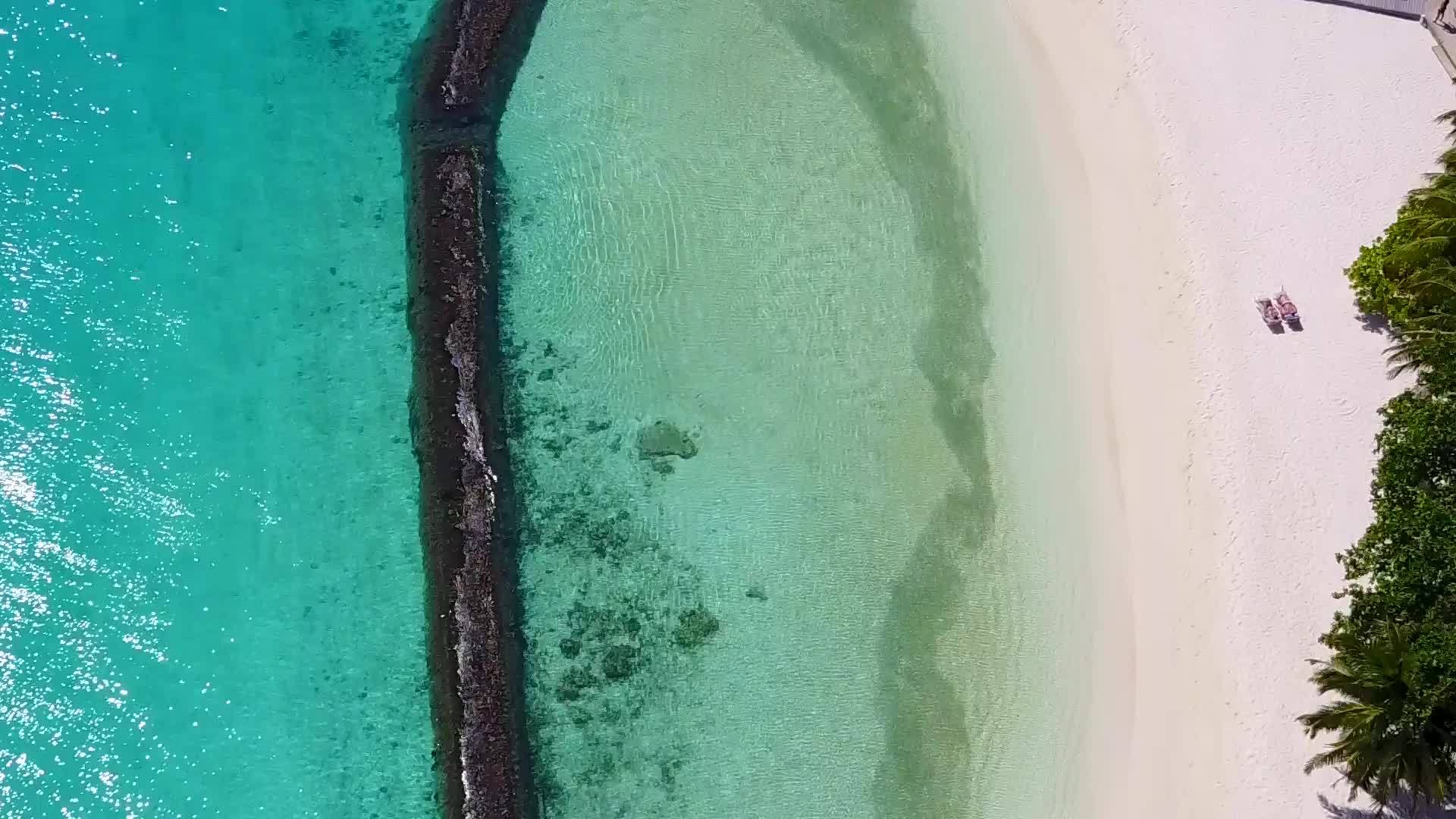在蓝色水和白色沙尘的背景下放松海岸海滩野生动物的空气视频的预览图