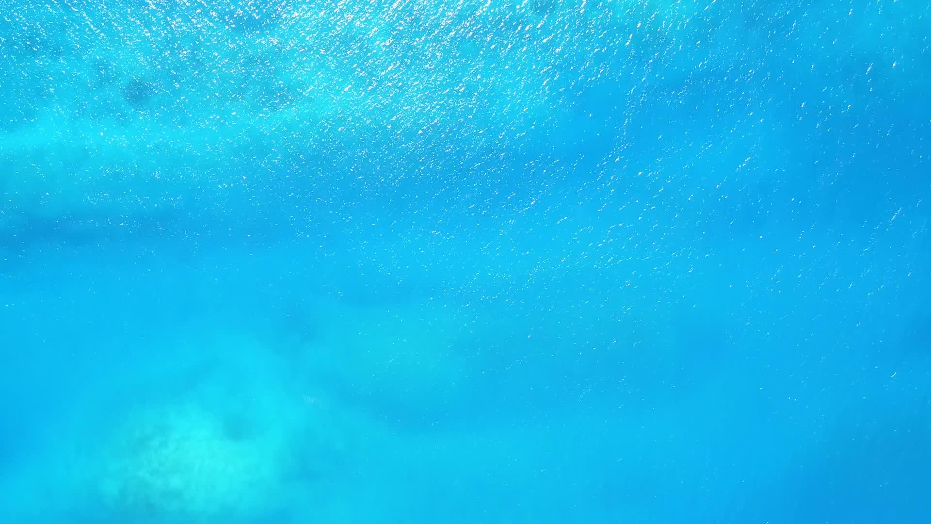 白沙底蓝环礁湖豪华泻湖海滩野生动物无人驾驶无人驾驶视频的预览图
