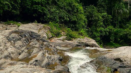 热带外国丛林中的山地河流在雨林中流动视频的预览图