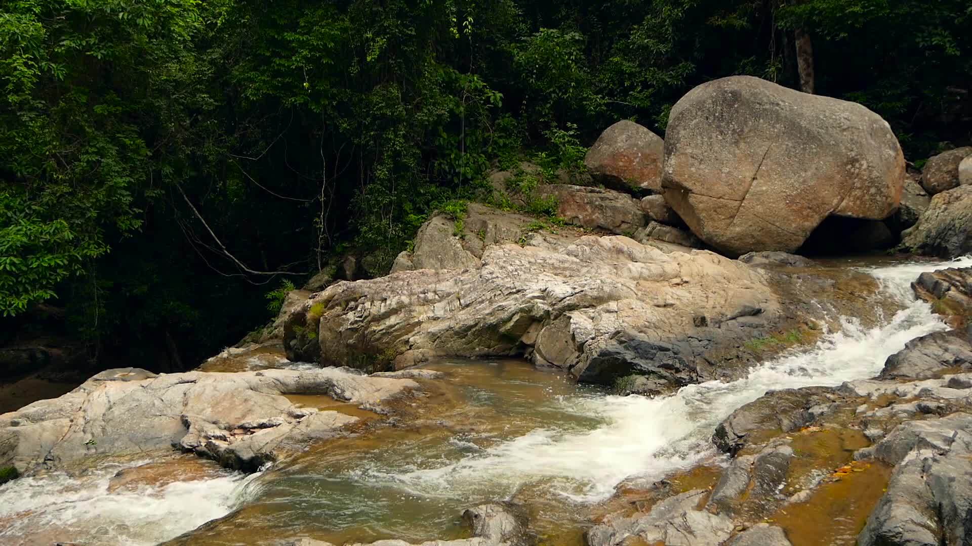 热带外国丛林中的山地河流在雨林中流动视频的预览图