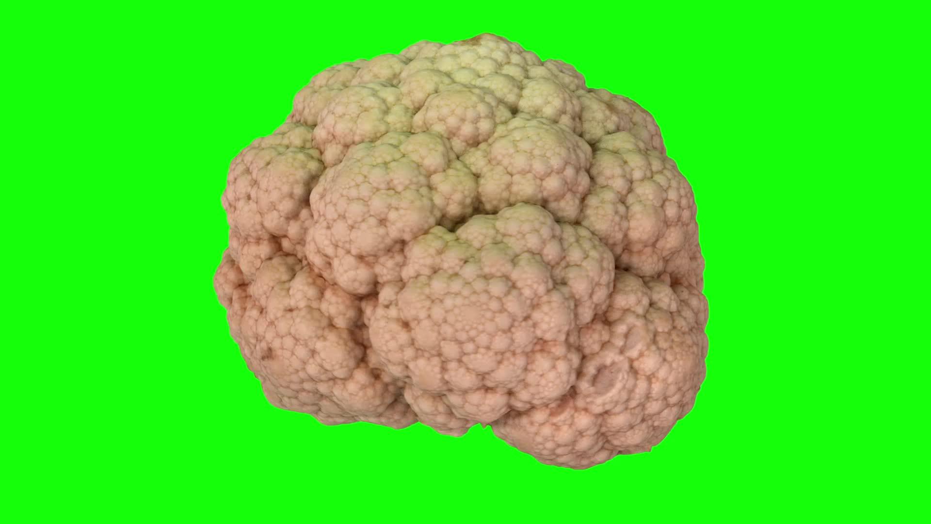 旋转椰菜花01的绿色背景a翻滚视频的预览图