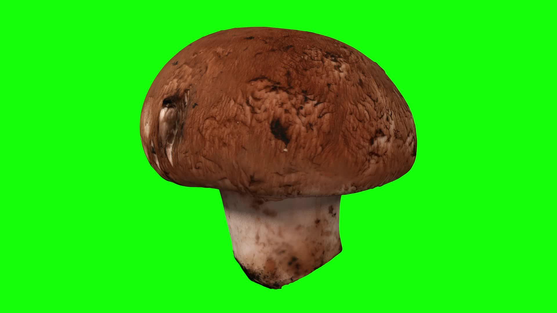 绿色背景的旋转栗子蘑菇1a视频的预览图