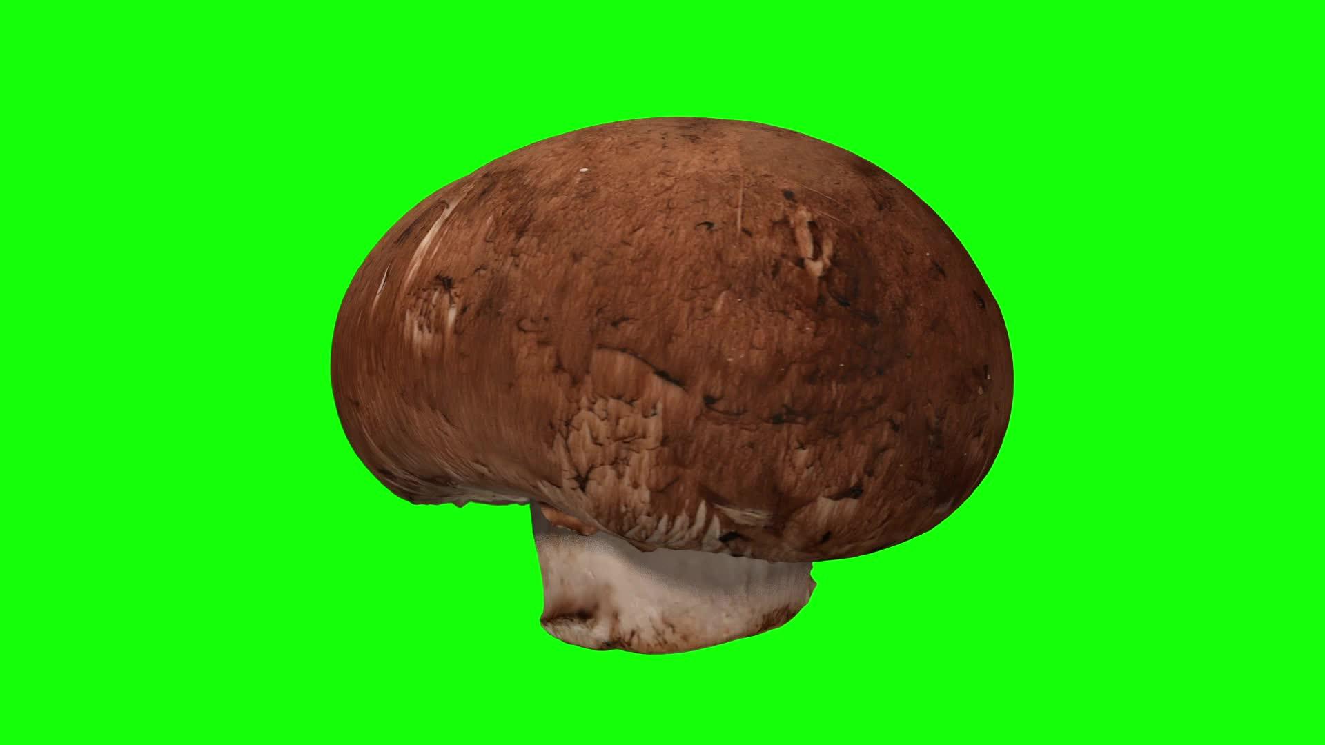 旋转栗子蘑菇02绿色背景a视频的预览图