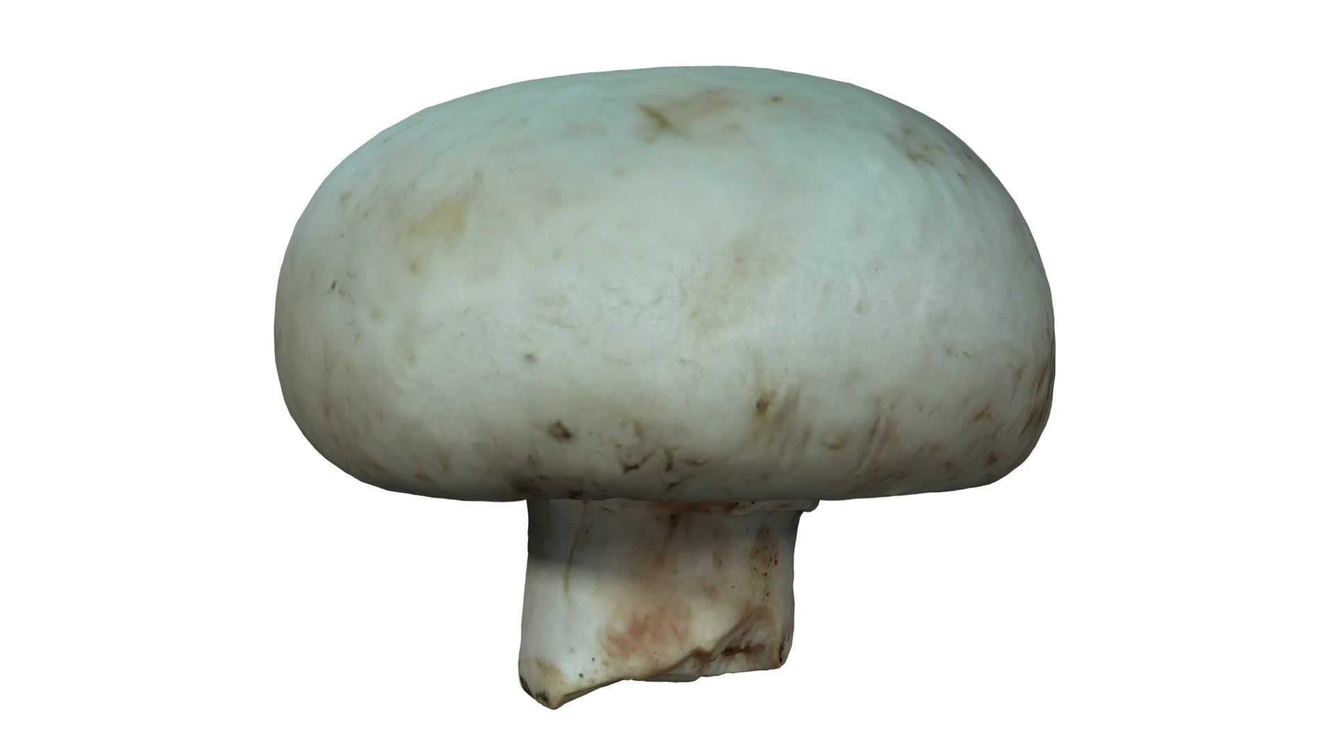 在白色背景07a上旋转白蘑菇滚动视频的预览图