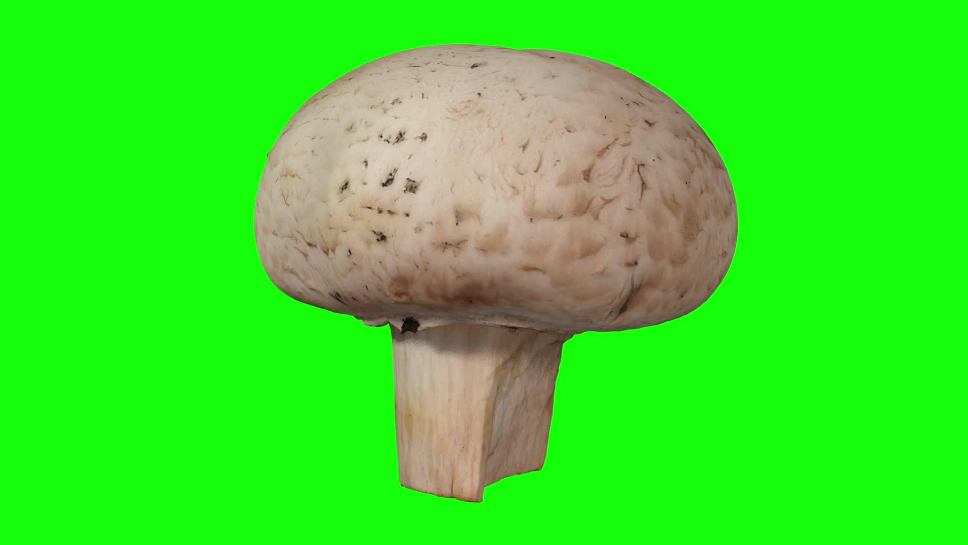 在绿色背景44上旋转白色蘑菇视频的预览图