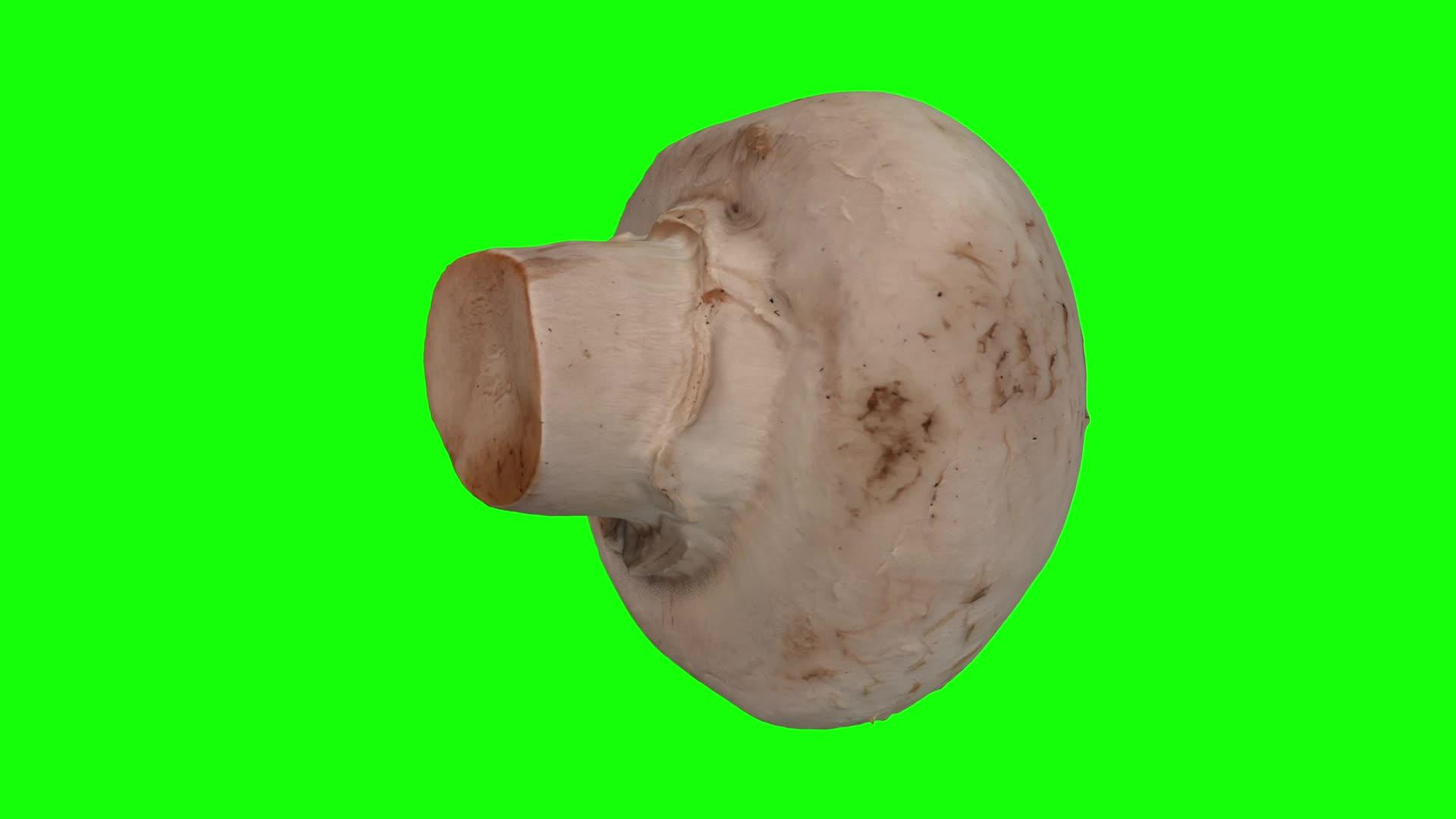 在绿色背景上旋转白蘑菇02视频的预览图