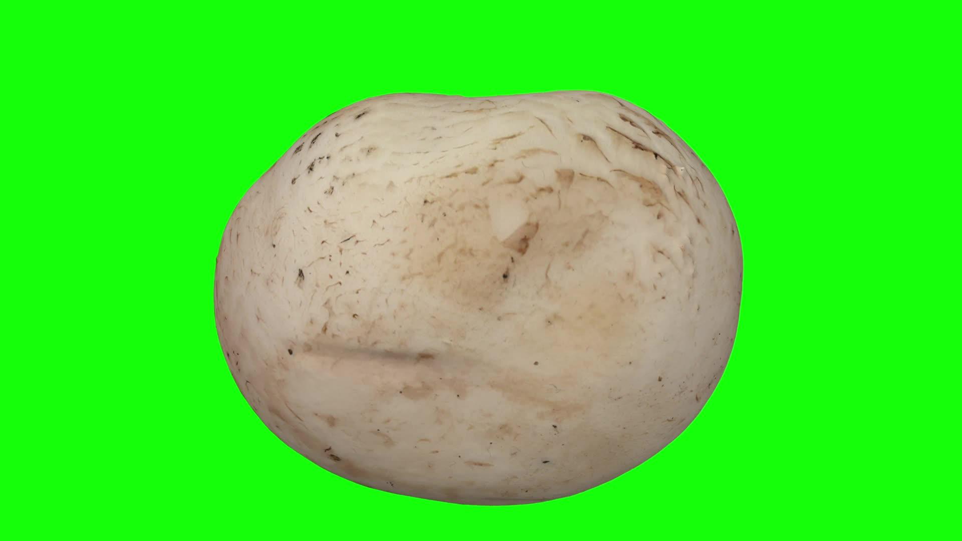 在绿色背景上旋转白色蘑菇06视频的预览图