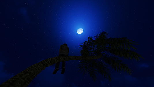 男孩日夜坐在棕榈树上折叠满月星空上4000视频的预览图