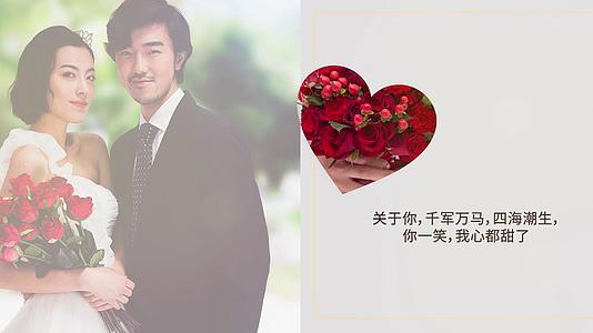 恋爱小清新婚礼相册Pr模板视频的预览图