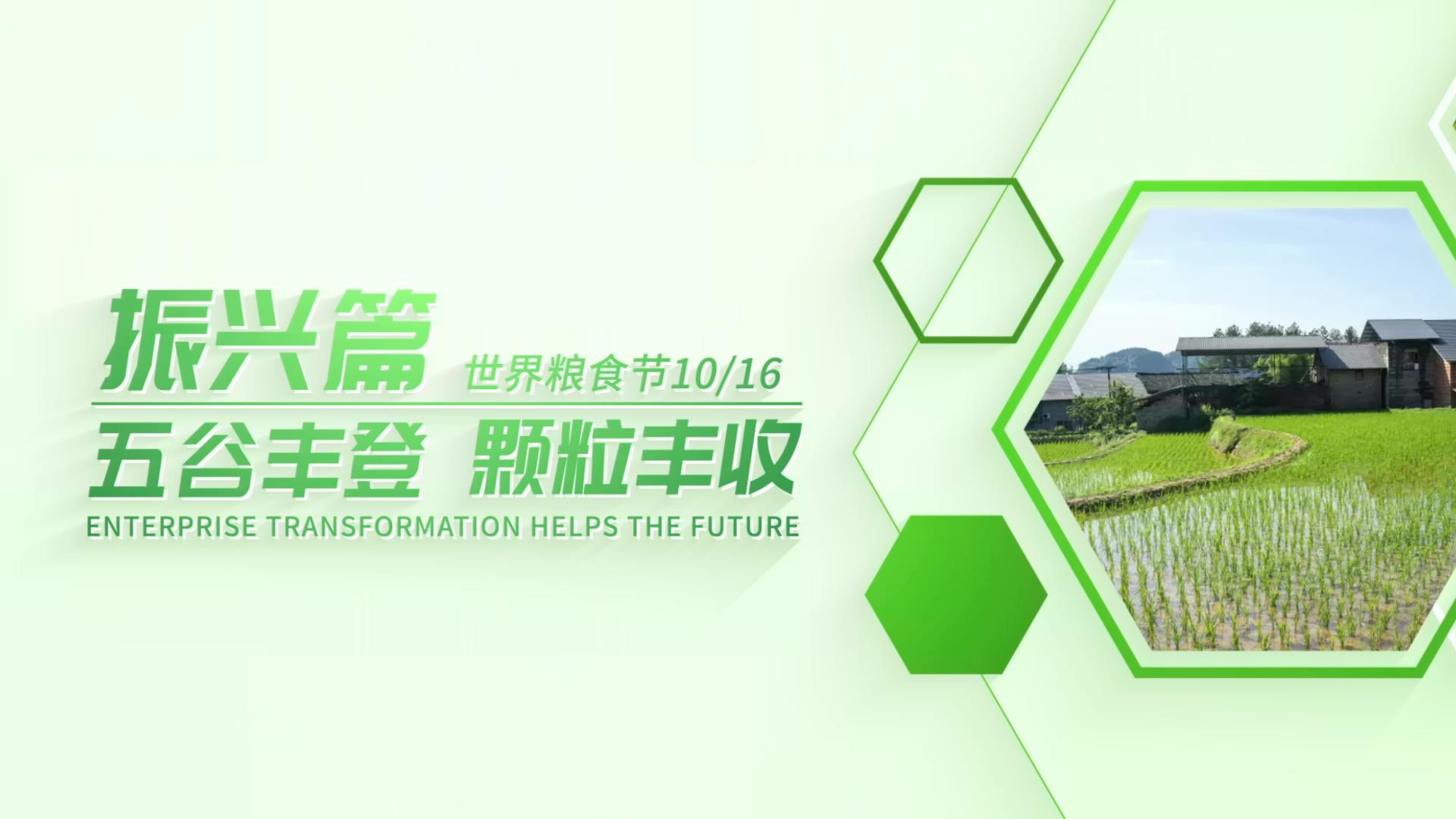 简洁大气世界粮食节图文展示AE模板视频的预览图