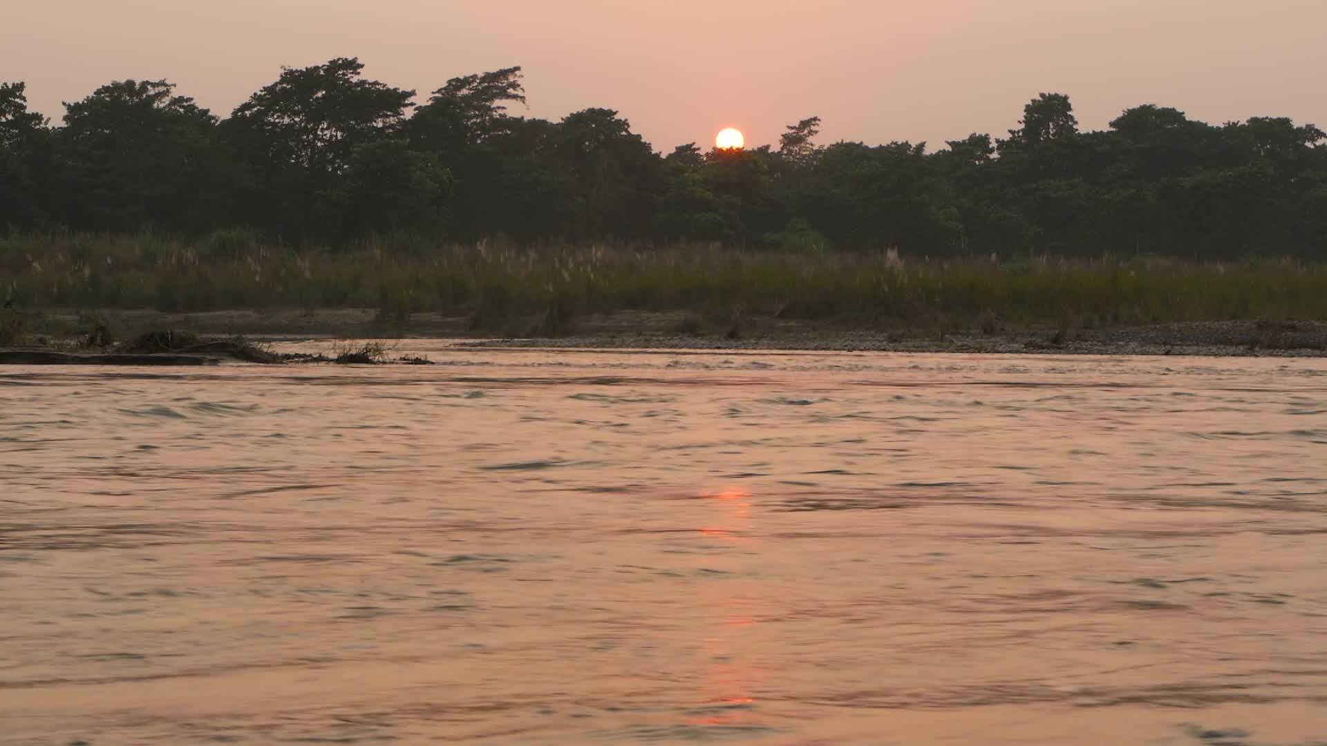 夏天太阳在宁静的河流上反射在平静的水面上视频的预览图