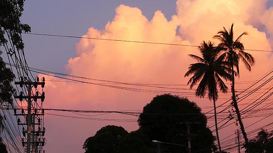 2019年6月10日晚热带奇特之夜的橙色云层棕榈视频的预览图