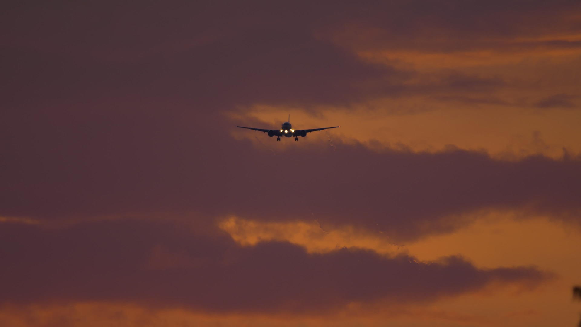 飞机在日落时从海上飞来视频的预览图