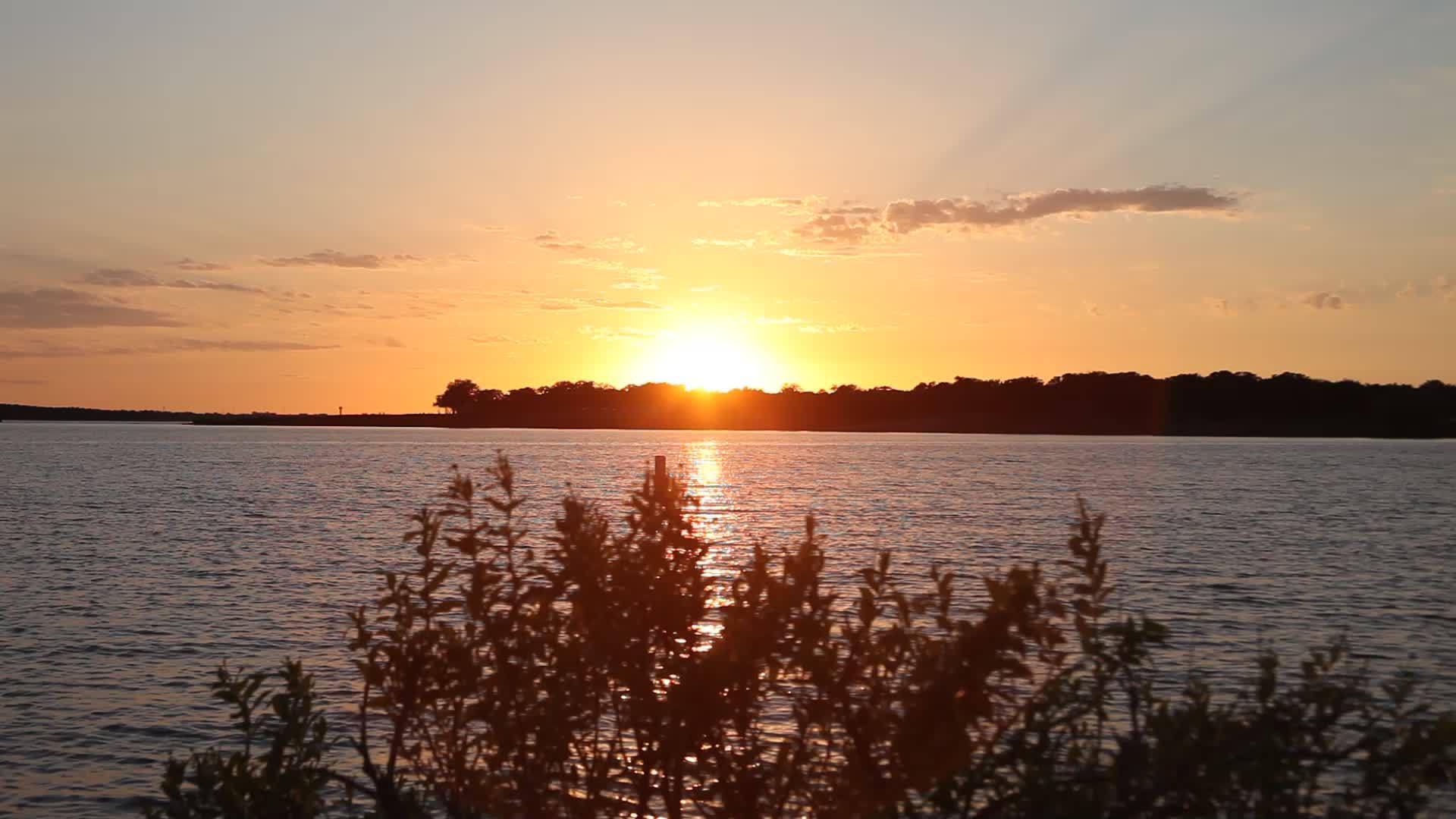 日落在德克萨斯湖的葡萄树上视频的预览图