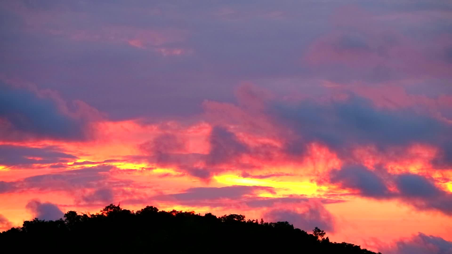 日落的天空中云朵通过绿色的顶部向上移动视频的预览图
