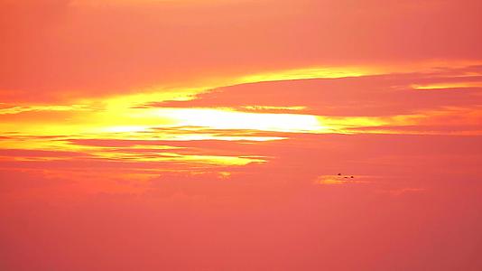 鸟儿在日落、橙黄色的天空和浅红色的云下飞翔视频的预览图