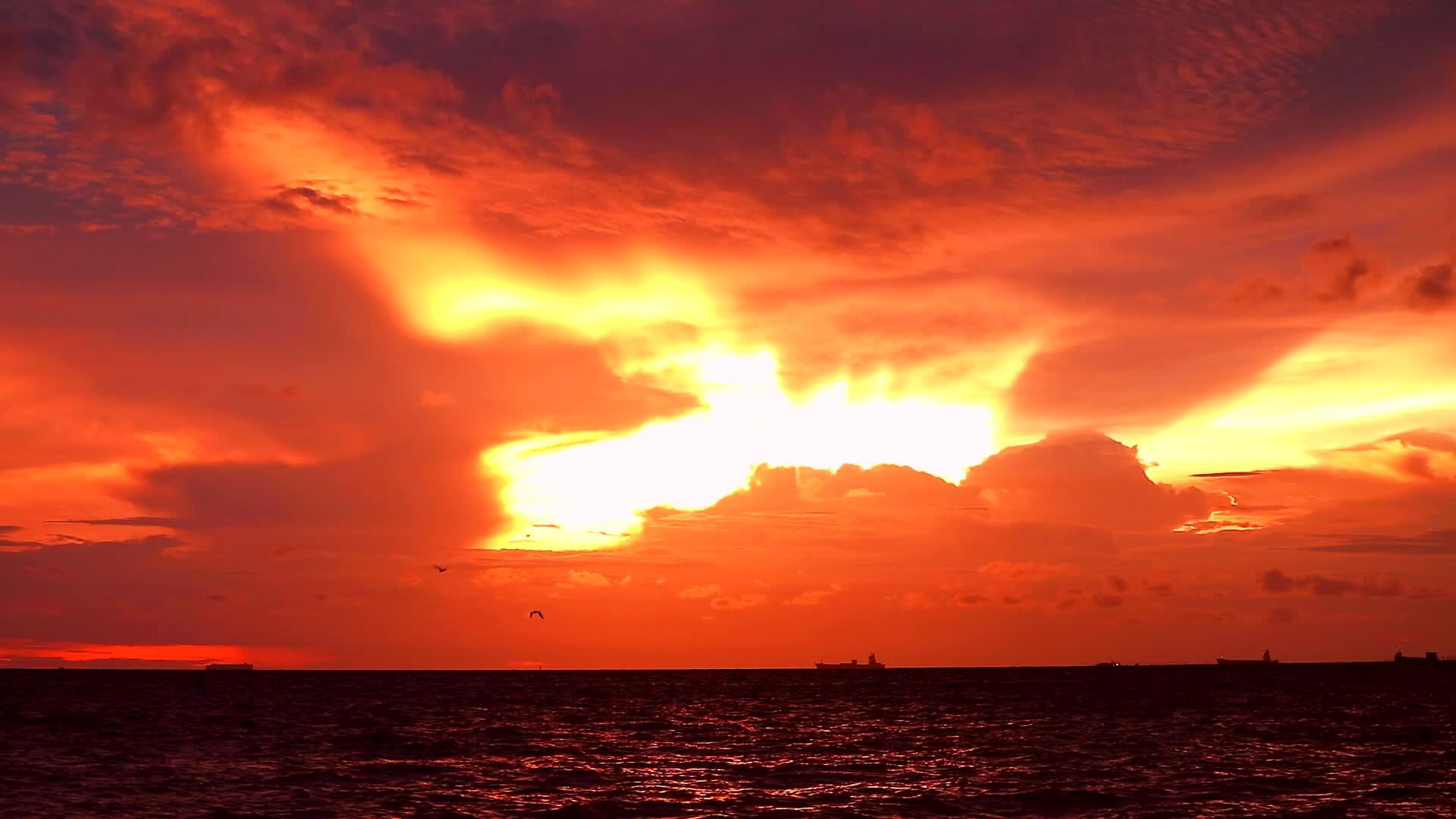 鸟儿飞翔日落橙色黄色的天空红色的风暴云在海上移动和剪影视频的预览图