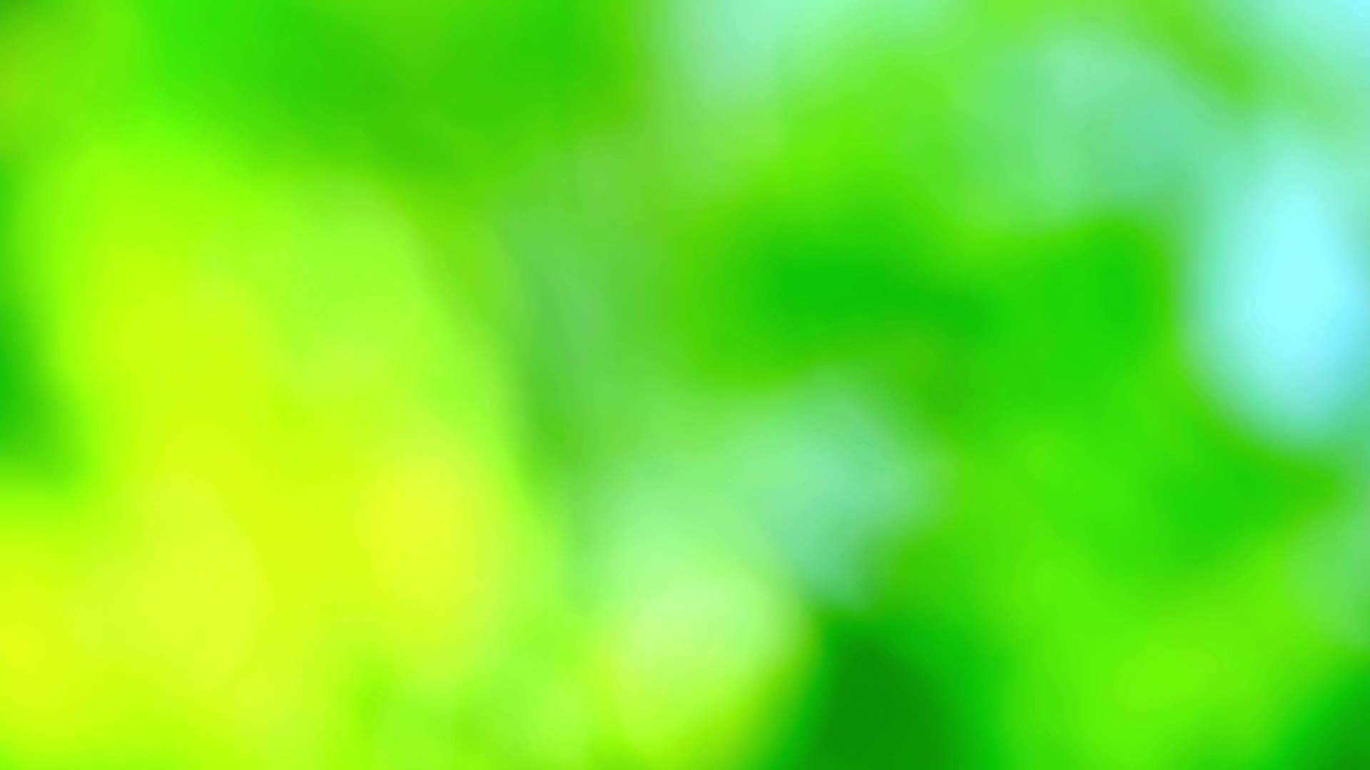 花园中的绿色抽象模糊颜色2视频的预览图