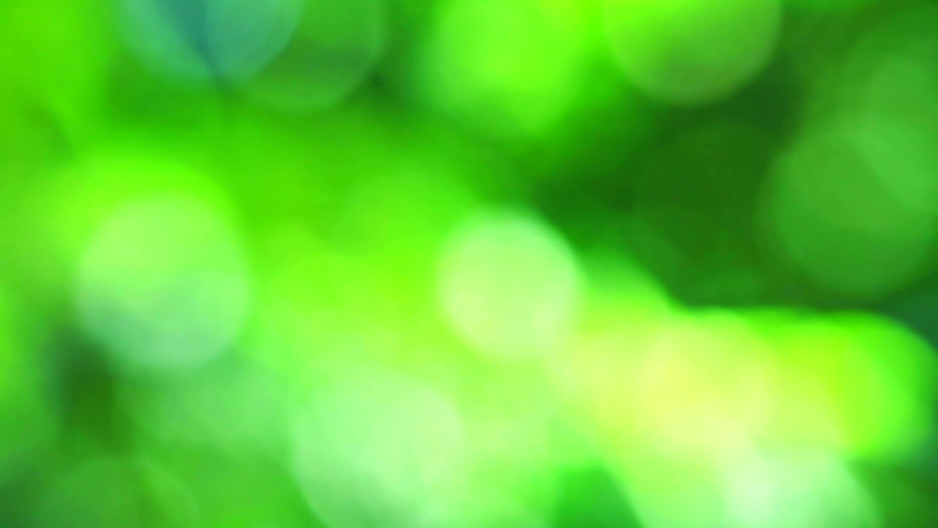 绿色自然抽象的绿色自然在花园里被模糊的花草树木所覆盖视频的预览图