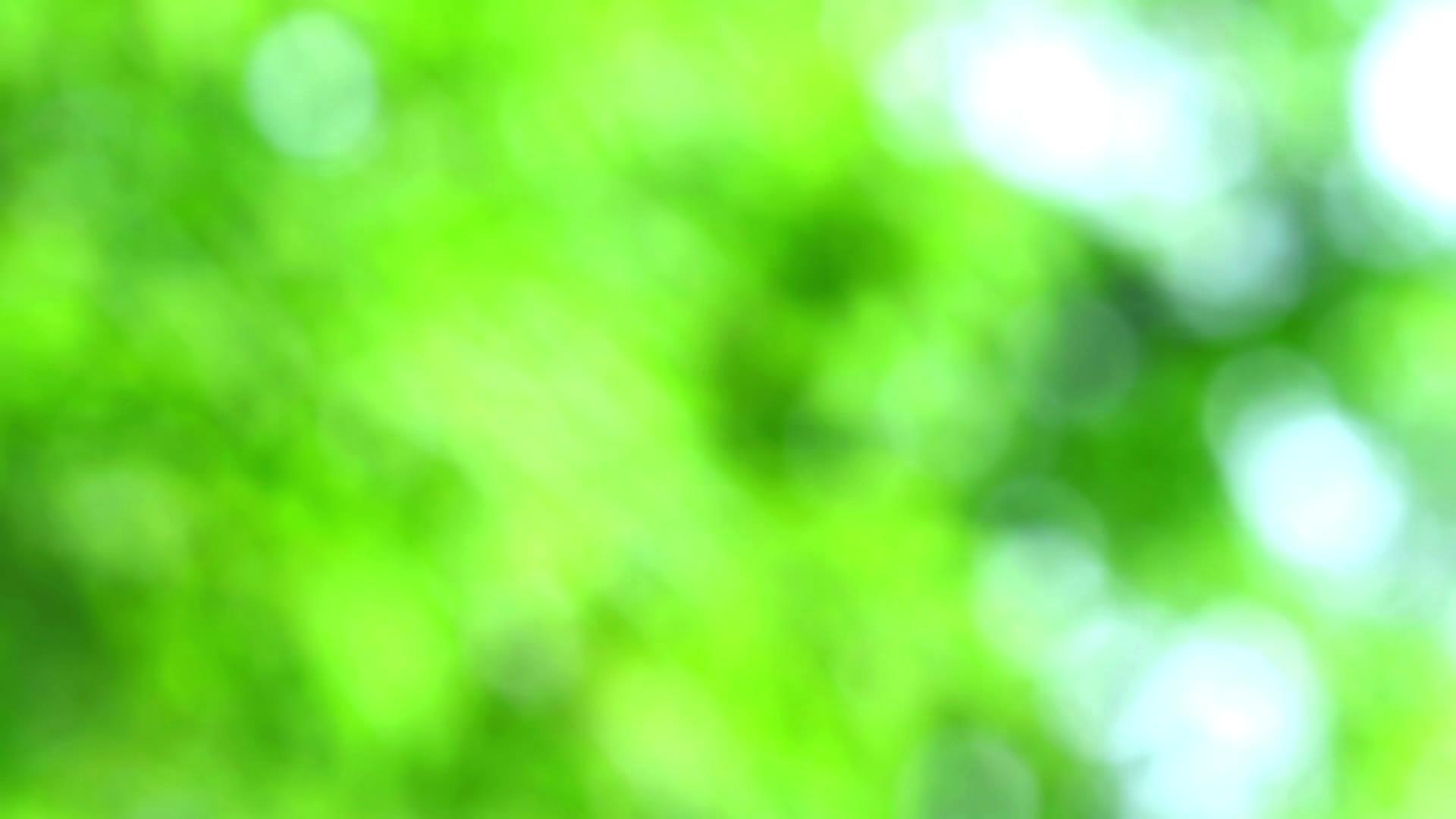 花园里的绿光和蓝色抽象而模糊的色叶视频的预览图
