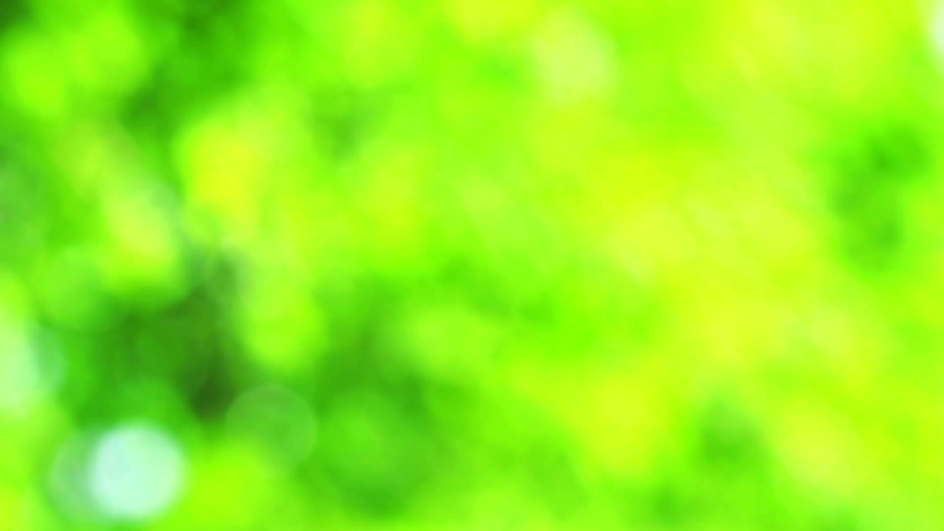 绿色、自然、抽象、模糊的绿叶色花园视频的预览图