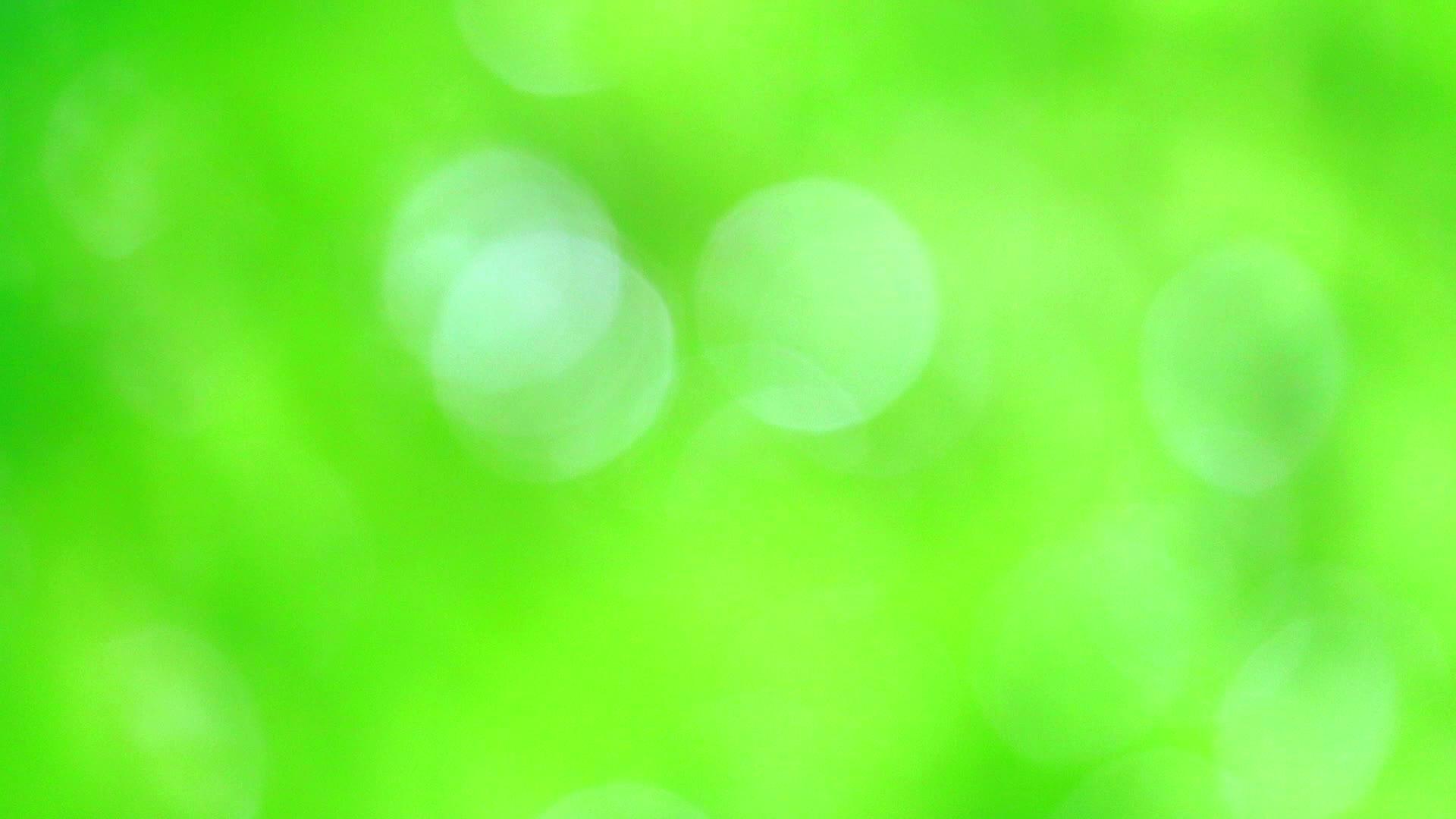 纯绿色的模糊背景花园中的花叶抽象色彩视频的预览图