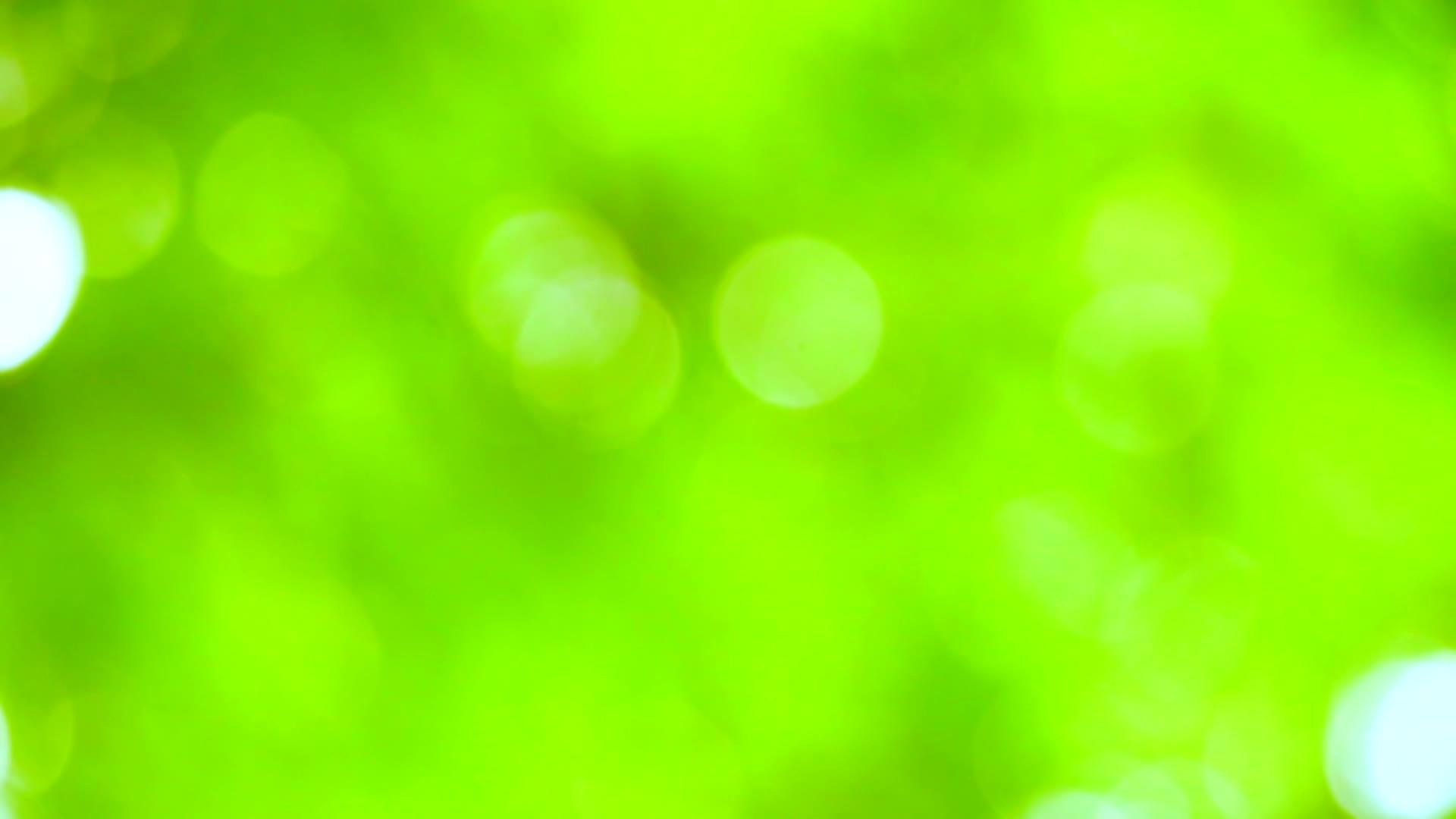 纯绿色的模糊背景背景白叶抽象色彩多彩的花园视频的预览图