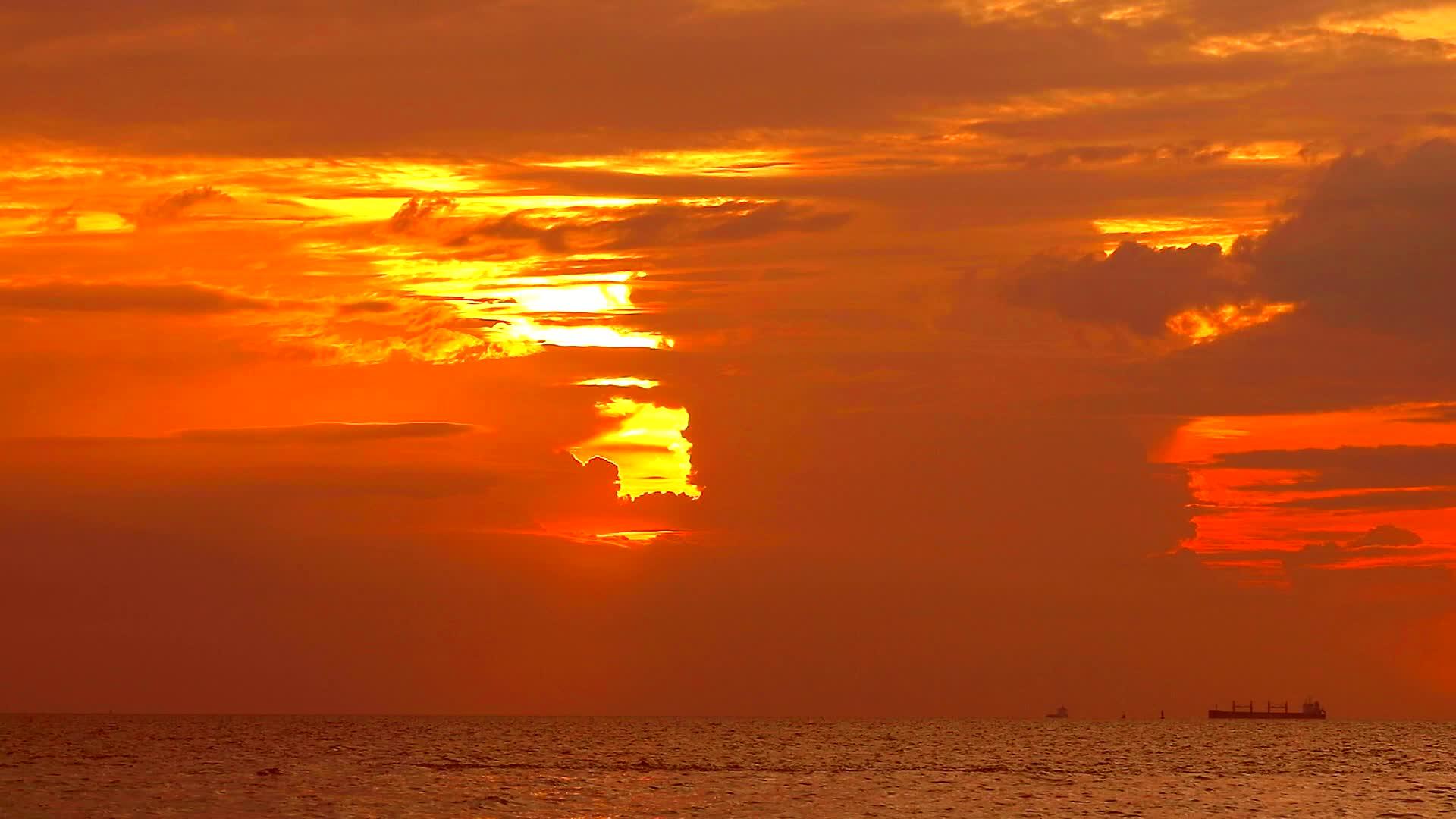 海中红火日落四只鸟在天空的橙色云上飞翔视频的预览图