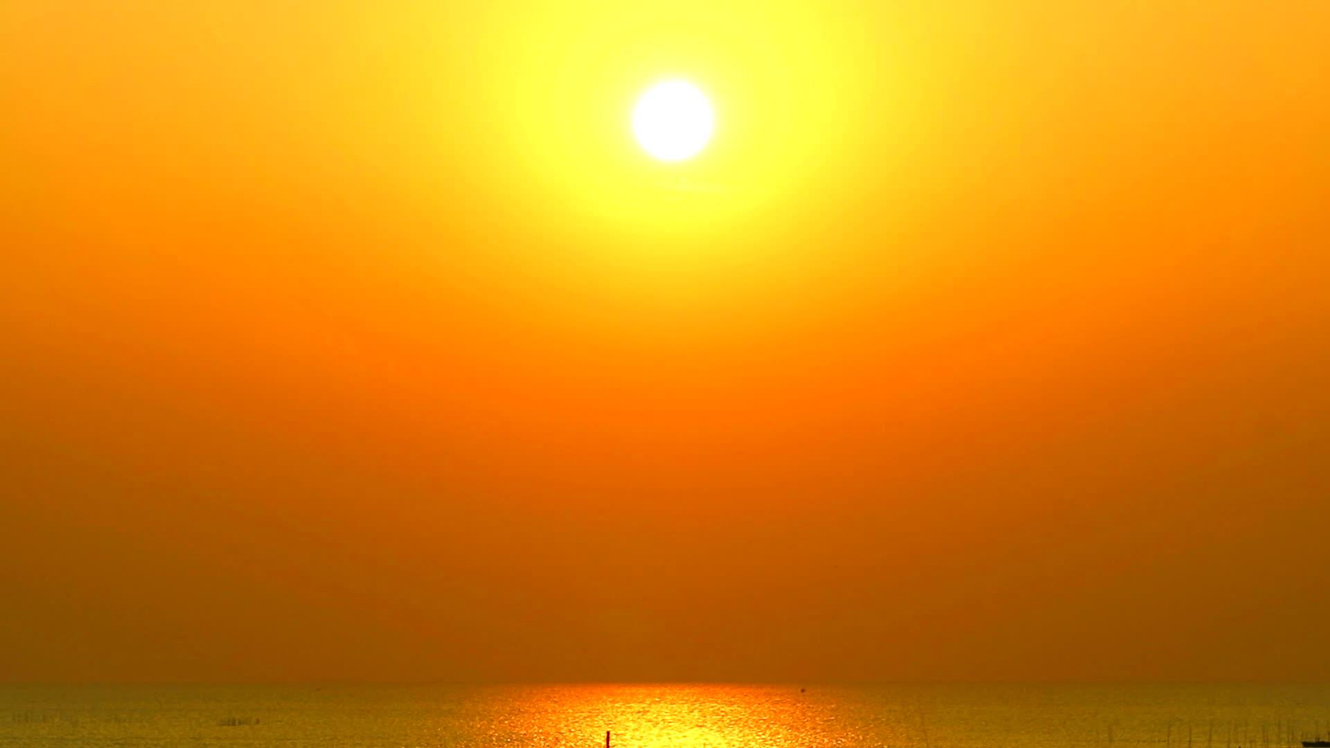 日落在海面上鸟类和鸟类的阳光反射在海面上视频的预览图