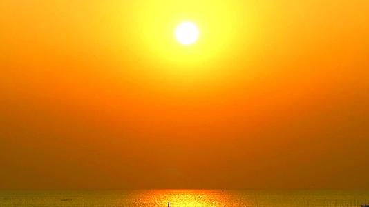 日落在海面上鸟类和鸟类的阳光反射在海面上视频的预览图